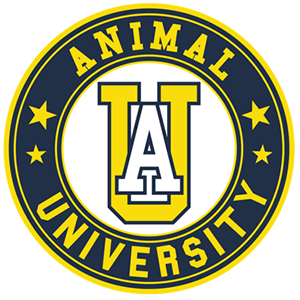 Animal University