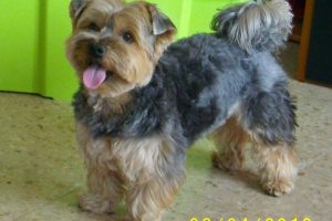 Dalton_featured_image